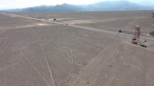 Nasca Lines viewing platform with the tree in the desert of Peru, Aerial
