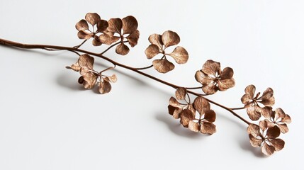 Natural beauty of soft brown hydrangea branches on display.