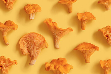 Close up forest mushroom Chanterelle still life, orange color edible healthy fungus on yellow...