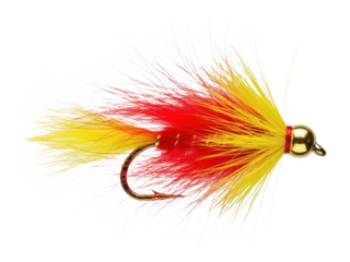 Friendly curly haired woman waving hand in greeting gesture isolated on transparent background