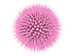 Pink spiky spherical object with many sharp points isolated on transparent background