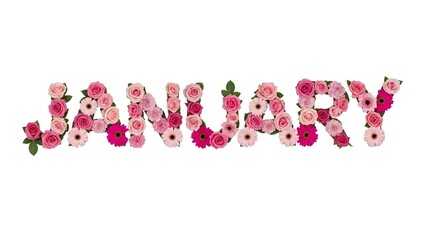 Pink flowers spelling out January roses gerbera letters