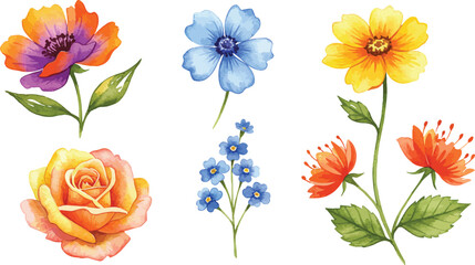 Watercolor painting of colorful flowers on white background
