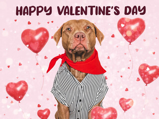 Happy Valentine's Day. Cute dog and congratulatory inscription