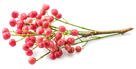 Fresh pink peppercorns on branch isolated on white background. File contains clipping paths.