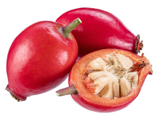 Rose hips or berries of rose plant close up on white background. File contains clipping paths.