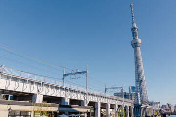 Naklejka premium 快晴の東京スカイツリーと街並み