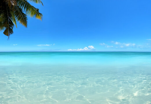 Mauritius Trou Aux Biches beach, Mauritius island life, palm tree, magnificent turquoise blue crystal waters visible through tropical palm trees and the endless blue of the Indian ocean.