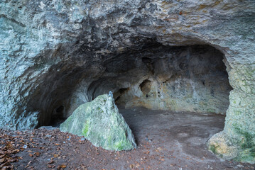 grota niedźwiedzia z bliska struktura