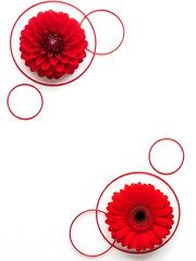 Red flowers arranged in circles on white background  