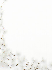 Dandelion seeds scattered on a white background in a natural arrangement  