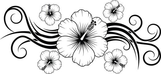 Tropical hibiscus flower vector illustration with tribal swirls, black and white floral line art, exotic summer bloom decorative border for elegant botanical design projects, ornament. © MdYaqub