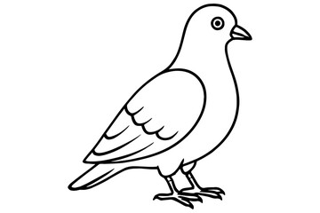 Naklejka premium Pigeon isolated on white, Pigeon Coloring Book, Printable Bird Line Art
