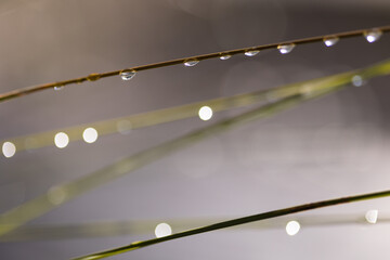 goutte d'eau ambiance zen