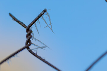 grillage givr&eacute;