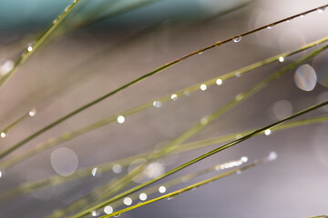 goutte d'eau ambiance zen