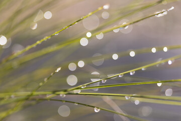 goutte d'eau ambiance zen