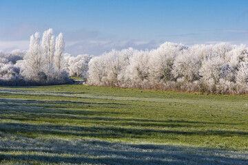 paysage givr&eacute;