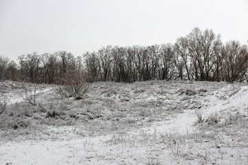 winter landscape with snow