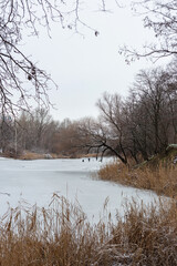 winter landscape with snow