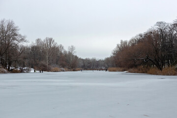 winter landscape with snow