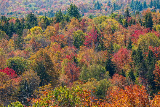 View from Hogback Mountain Overlook, near Wilmington, Vermont