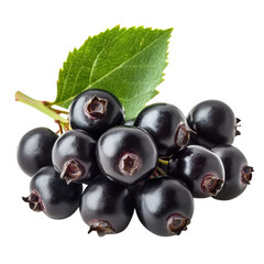 Blackcurrants with leaf on transparent background