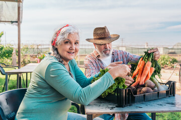 Happy senior couple handling freshly harvested vegetables in an outdoor garden