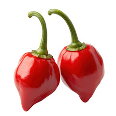 Two Red Peppers on Transparent Background