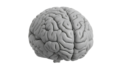 3D rendering of a human brain on a grid background