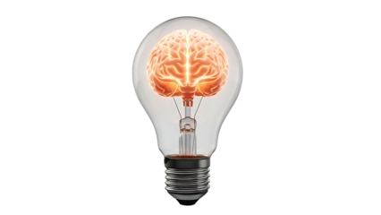 Light bulb with brain inside on transparent background
