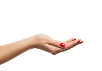 Young caucasian woman's right hand with vibrant glossy red manicure, slender fingers, palm cupped upwards, on a transparent studio background with copy space, concept of tender offering