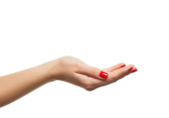 Young caucasian woman's right hand with vibrant glossy red manicure, slender fingers, palm cupped upwards, on a transparent studio background with copy space, concept of tender offering