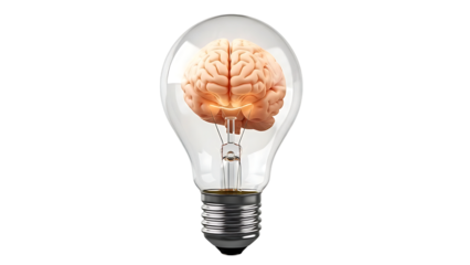 Light bulb with brain inside on checkered background