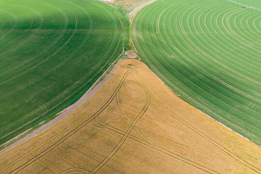 Aerial view of a dry field between two green crop circles
