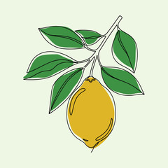 Lemon on branch with leaves vector illustration yellow fruit single line art