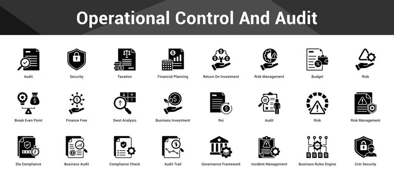 Operational Control And Audit Cohesive set of minimalist vector icons representing key ideas with visual clarity