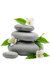 Meticulously balanced stack of wet light grey basalt stones with delicate white jasmine-like flowers and green leaves on a transparent background, serene balance