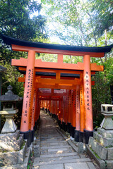 Tori Gate in Kyoto, Japan. 22 June 2025