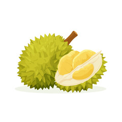 Flat 2D minimalist illustration of a Durian, modern vector design with white background.