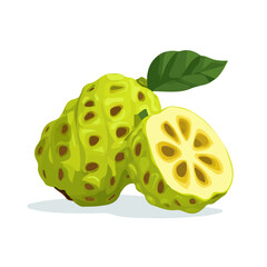 Noni Fruit &mdash; flat 2D vector artwork created in a clean, modern, and minimal style on white background.