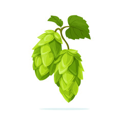 Flat 2D minimalist illustration of a Hops, modern vector design with white background.
