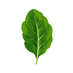 Sorrel Leaf &mdash; flat 2D vector artwork created in a clean, modern, and minimal style on white background.
