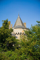 One of Suscinio Castle towers on a sunny day, partially hidden by the trees. Background with copy space, no people. Sarzeau, Brittany, France. Vertical shot.