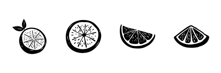 Obraz premium Citrus Fruit Slices In Hand Drawn Style Set. Freshness, Vitamin C, Healthy Eating Doodle Sketch Collection. Citrus Variety Illustration. Isolated Vector Illustration