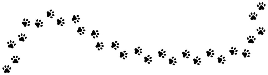 Pet, animal pawprint long path, dog paw track vector element © Anastasiia