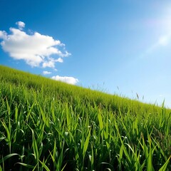 Verdant meadow under a clear blue sky, dappled sunlight creating natural patterns,  environment,  grass
