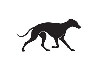 Greyhound in silhouette white background.