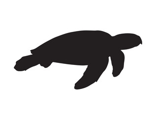 Hawksbill Turtle in silhouette white background.
