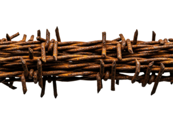 heavily oxidized razor wire coil with rich orange and umber patina, extreme close-up macro view, sharply focused under dramatic side lighting on a stark white void, concept of isolation and decay